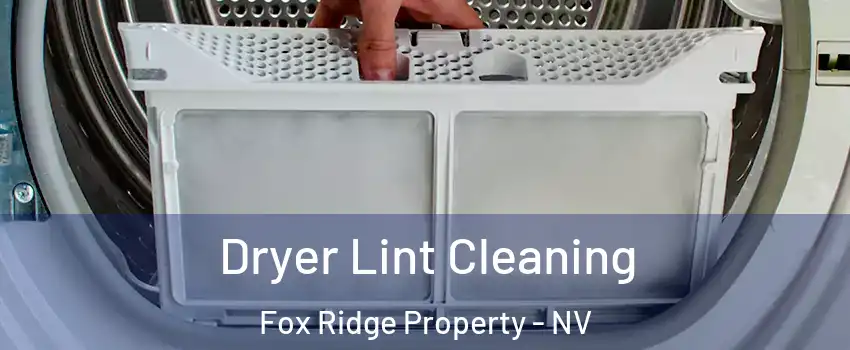 Dryer Lint Cleaning Fox Ridge Property - NV
