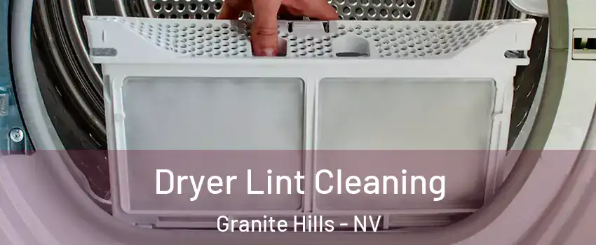 Dryer Lint Cleaning Granite Hills - NV