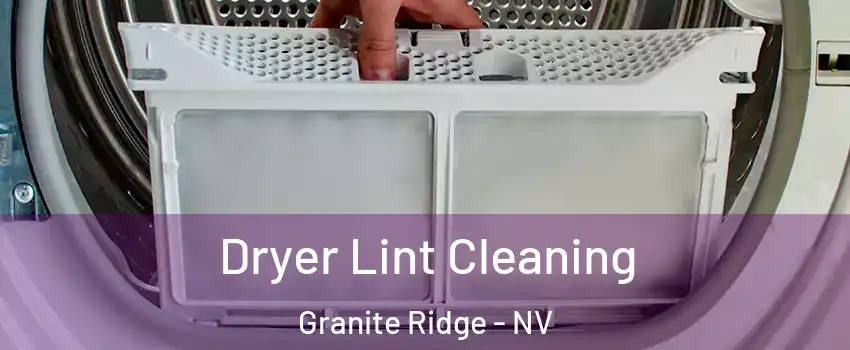 Dryer Lint Cleaning Granite Ridge - NV