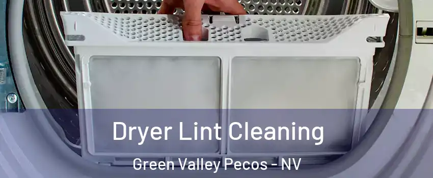 Dryer Lint Cleaning Green Valley Pecos - NV