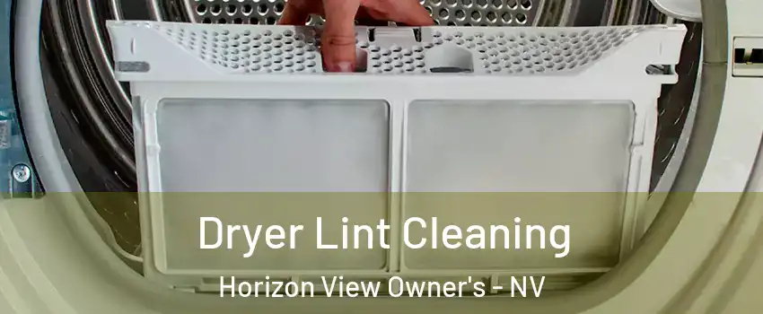 Dryer Lint Cleaning Horizon View Owner's - NV