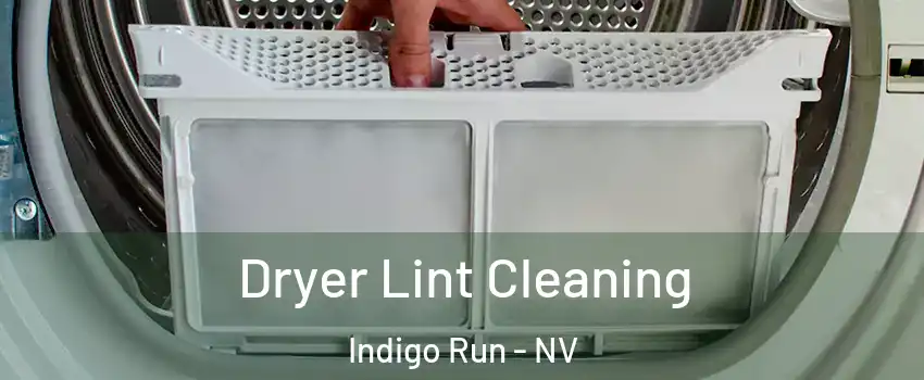 Dryer Lint Cleaning Indigo Run - NV