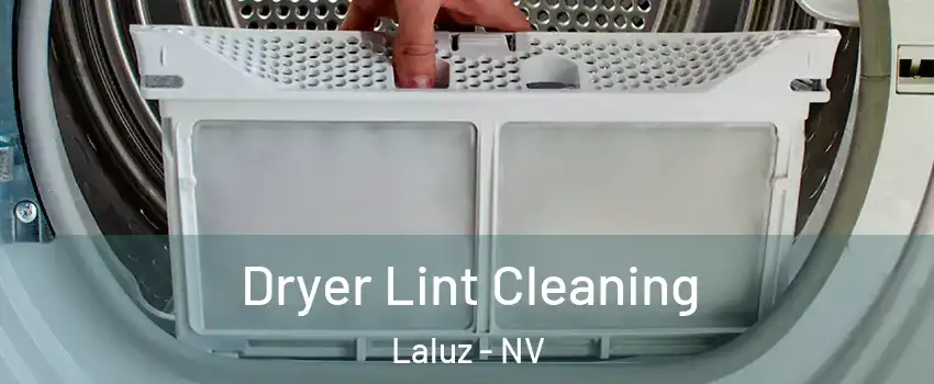 Dryer Lint Cleaning Laluz - NV