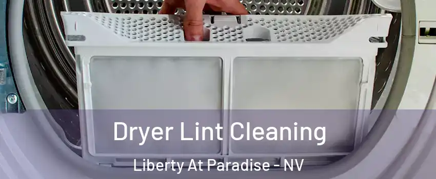 Dryer Lint Cleaning Liberty At Paradise - NV