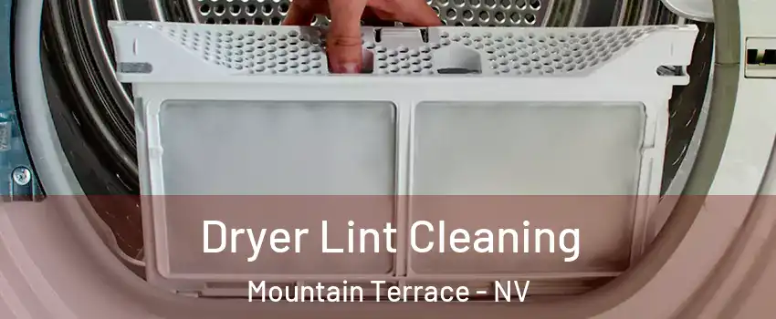 Dryer Lint Cleaning Mountain Terrace - NV