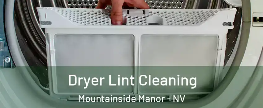 Dryer Lint Cleaning Mountainside Manor - NV