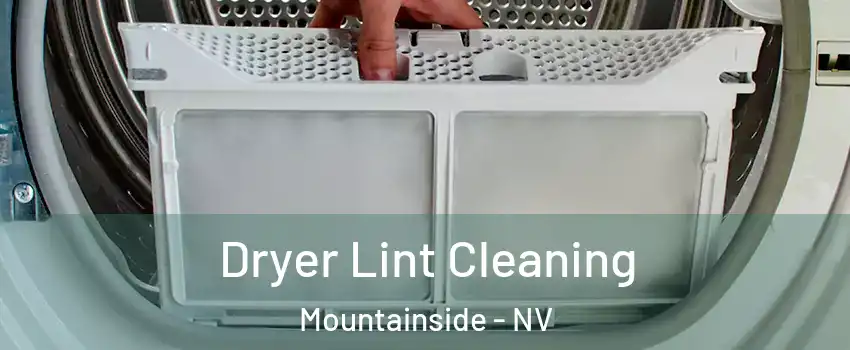 Dryer Lint Cleaning Mountainside - NV