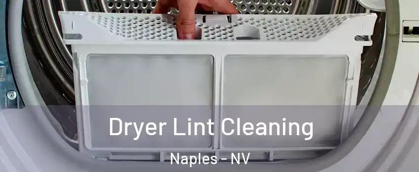 Dryer Lint Cleaning Naples - NV