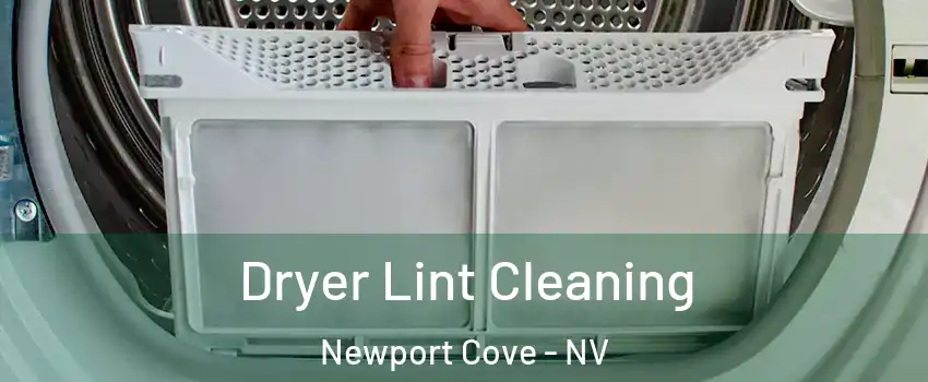 Dryer Lint Cleaning Newport Cove - NV