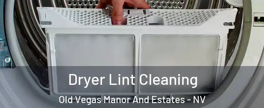 Dryer Lint Cleaning Old Vegas Manor And Estates - NV