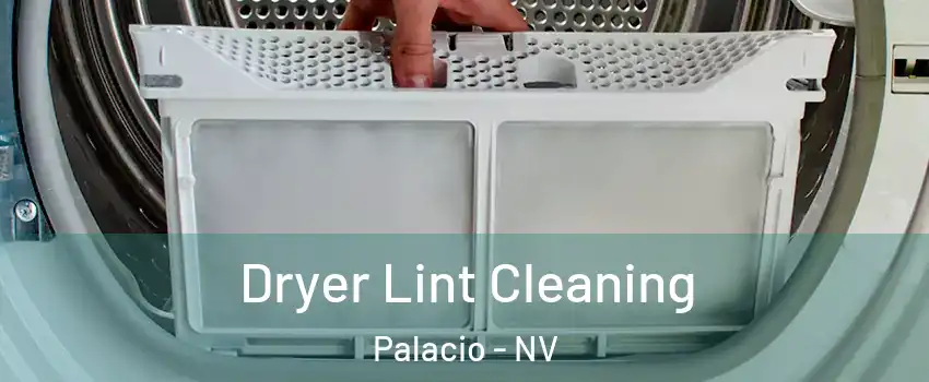 Dryer Lint Cleaning Palacio - NV