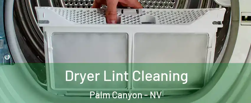 Dryer Lint Cleaning Palm Canyon - NV