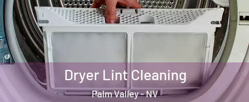 Dryer Lint Cleaning Palm Valley - NV