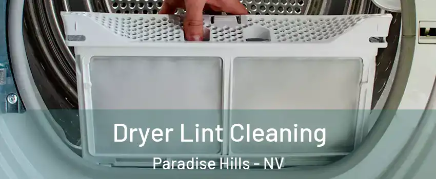 Dryer Lint Cleaning Paradise Hills - NV