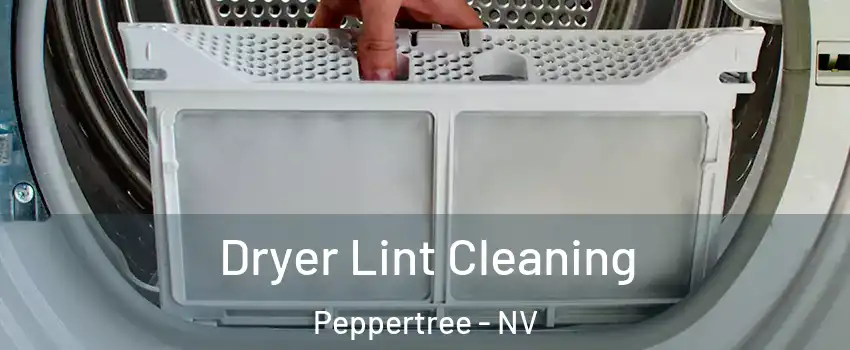Dryer Lint Cleaning Peppertree - NV