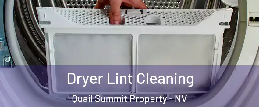 Dryer Lint Cleaning Quail Summit Property - NV