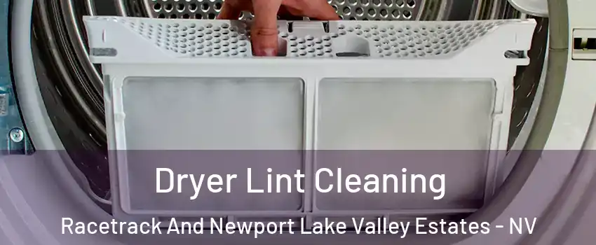 Dryer Lint Cleaning Racetrack And Newport Lake Valley Estates - NV