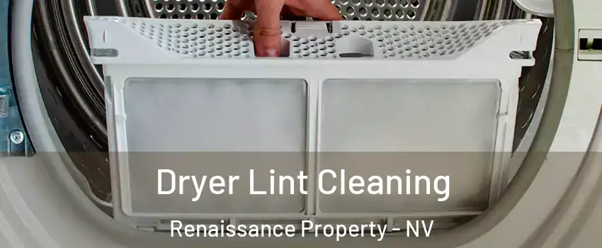 Dryer Lint Cleaning Renaissance Property - NV