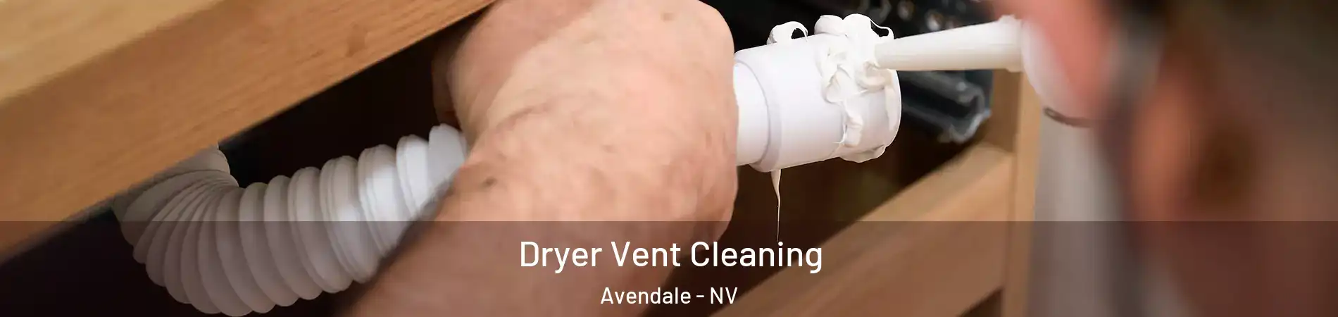 Dryer Vent Cleaning Avendale - NV