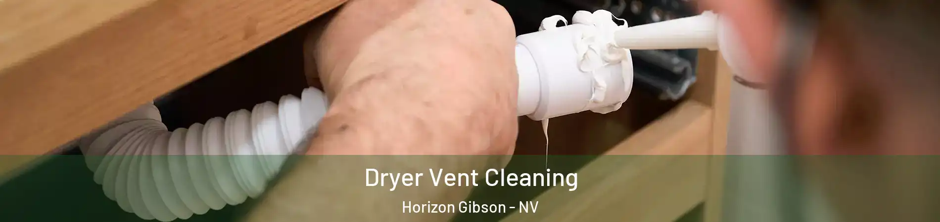 Dryer Vent Cleaning Horizon Gibson - NV