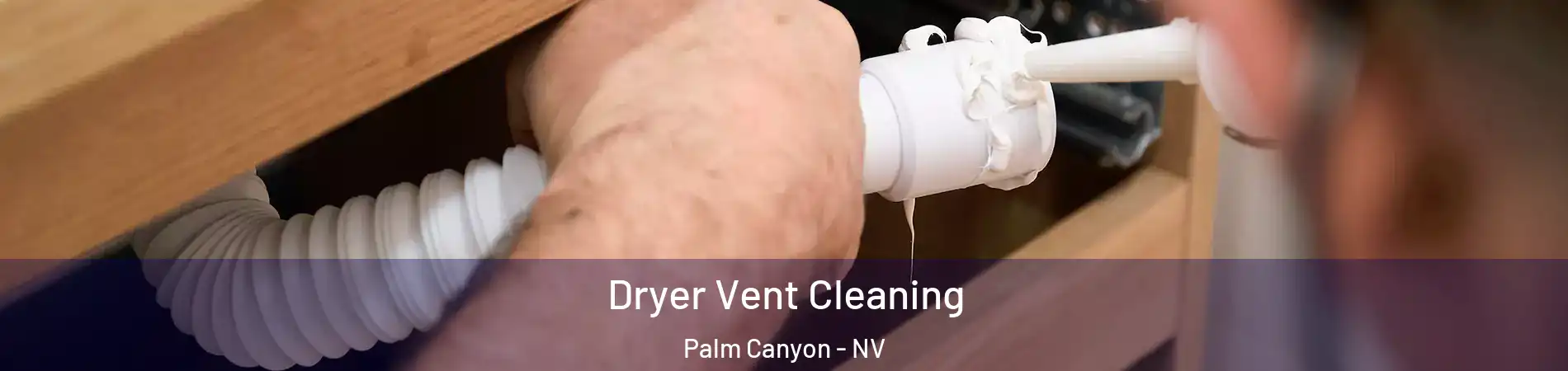 Dryer Vent Cleaning Palm Canyon - NV