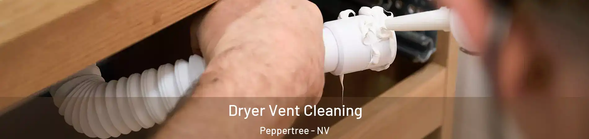 Dryer Vent Cleaning Peppertree - NV