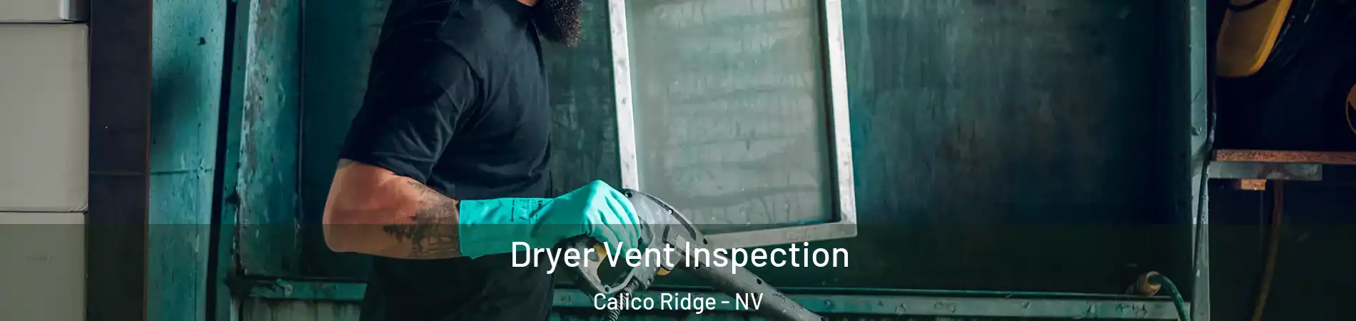 Dryer Vent Inspection Calico Ridge - NV