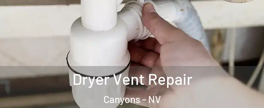 Dryer Vent Repair Canyons - NV