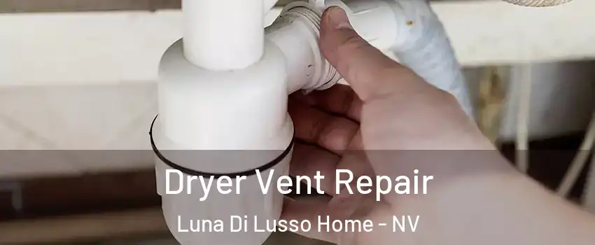Dryer Vent Repair Luna Di Lusso Home - NV