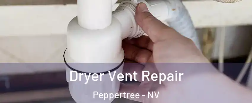 Dryer Vent Repair Peppertree - NV