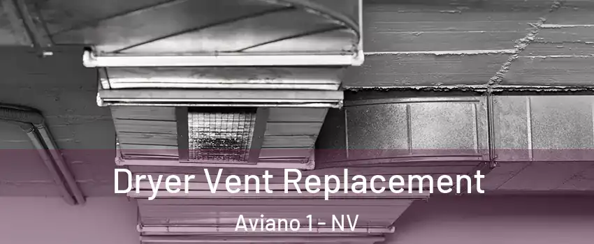 Dryer Vent Replacement Aviano 1 - NV