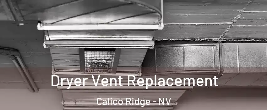 Dryer Vent Replacement Calico Ridge - NV