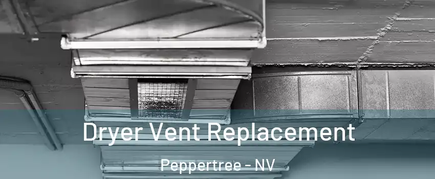 Dryer Vent Replacement Peppertree - NV