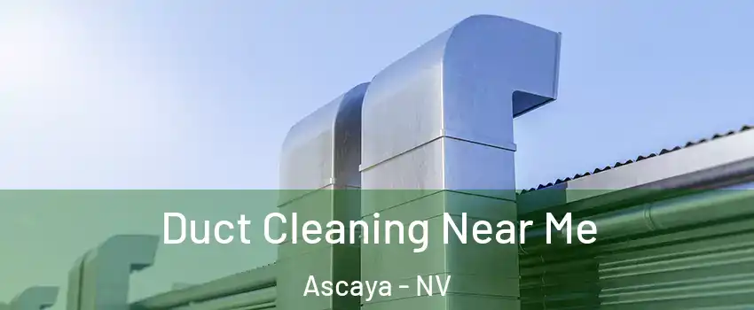 Duct Cleaning Near Me Ascaya - NV
