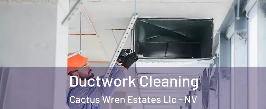 Ductwork Cleaning Cactus Wren Estates Llc - NV