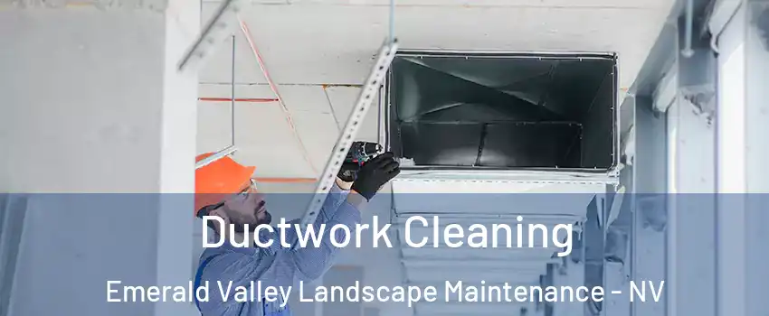 Ductwork Cleaning Emerald Valley Landscape Maintenance - NV