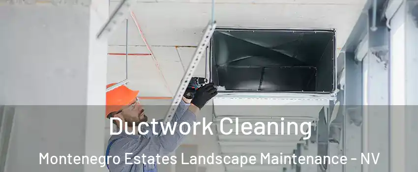 Ductwork Cleaning Montenegro Estates Landscape Maintenance - NV