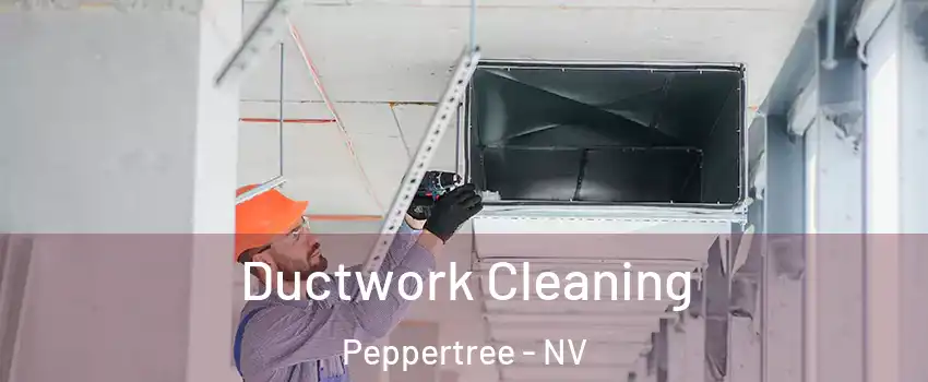 Ductwork Cleaning Peppertree - NV