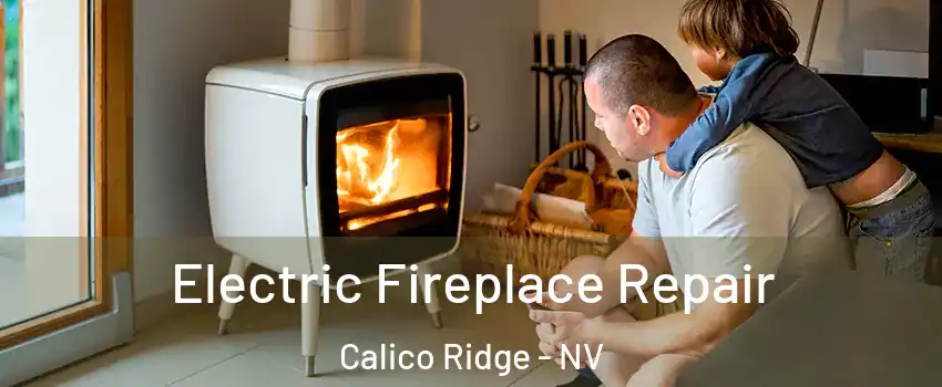 Electric Fireplace Repair Calico Ridge - NV