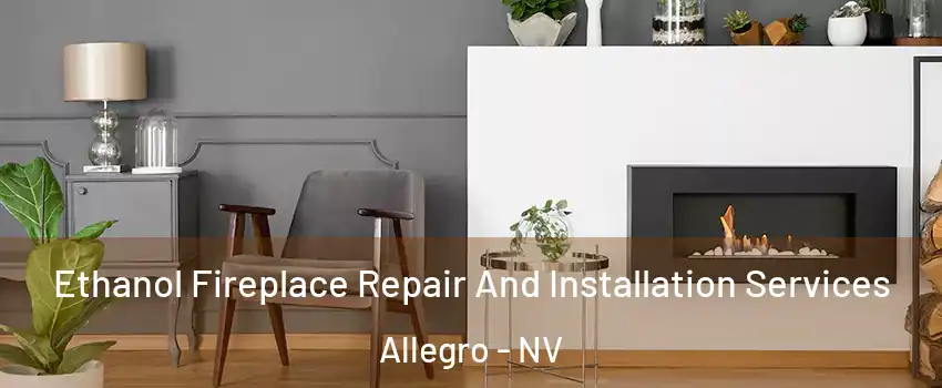Ethanol Fireplace Repair And Installation Services Allegro - NV