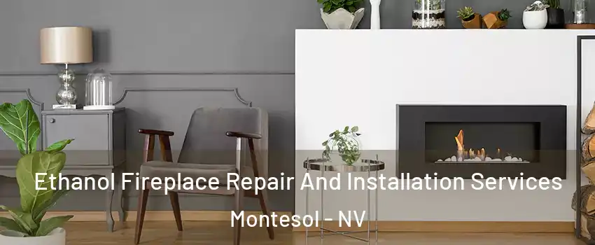 Ethanol Fireplace Repair And Installation Services Montesol - NV