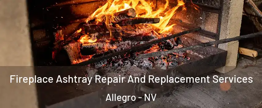 Fireplace Ashtray Repair And Replacement Services Allegro - NV
