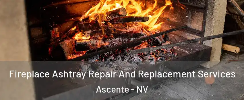 Fireplace Ashtray Repair And Replacement Services Ascente - NV