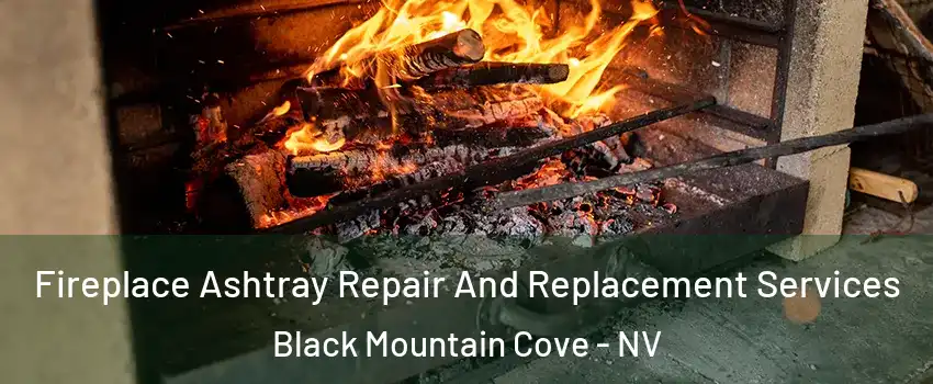Fireplace Ashtray Repair And Replacement Services Black Mountain Cove - NV