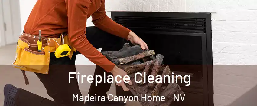 Fireplace Cleaning Madeira Canyon Home - NV