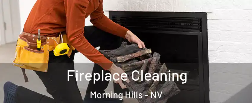 Fireplace Cleaning Morning Hills - NV