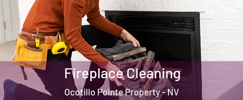 Fireplace Cleaning Ocotillo Pointe Property - NV