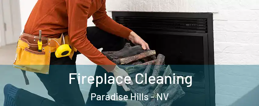Fireplace Cleaning Paradise Hills - NV