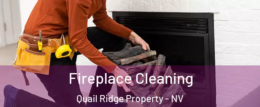 Fireplace Cleaning Quail Ridge Property - NV