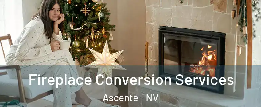 Fireplace Conversion Services Ascente - NV